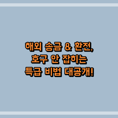 해외 송금 & 환전, 호구 안 잡히는 특급 비법 대공개!